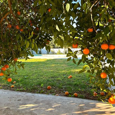 ナフプリオThe Orange Gardenアパートメント エクステリア 写真